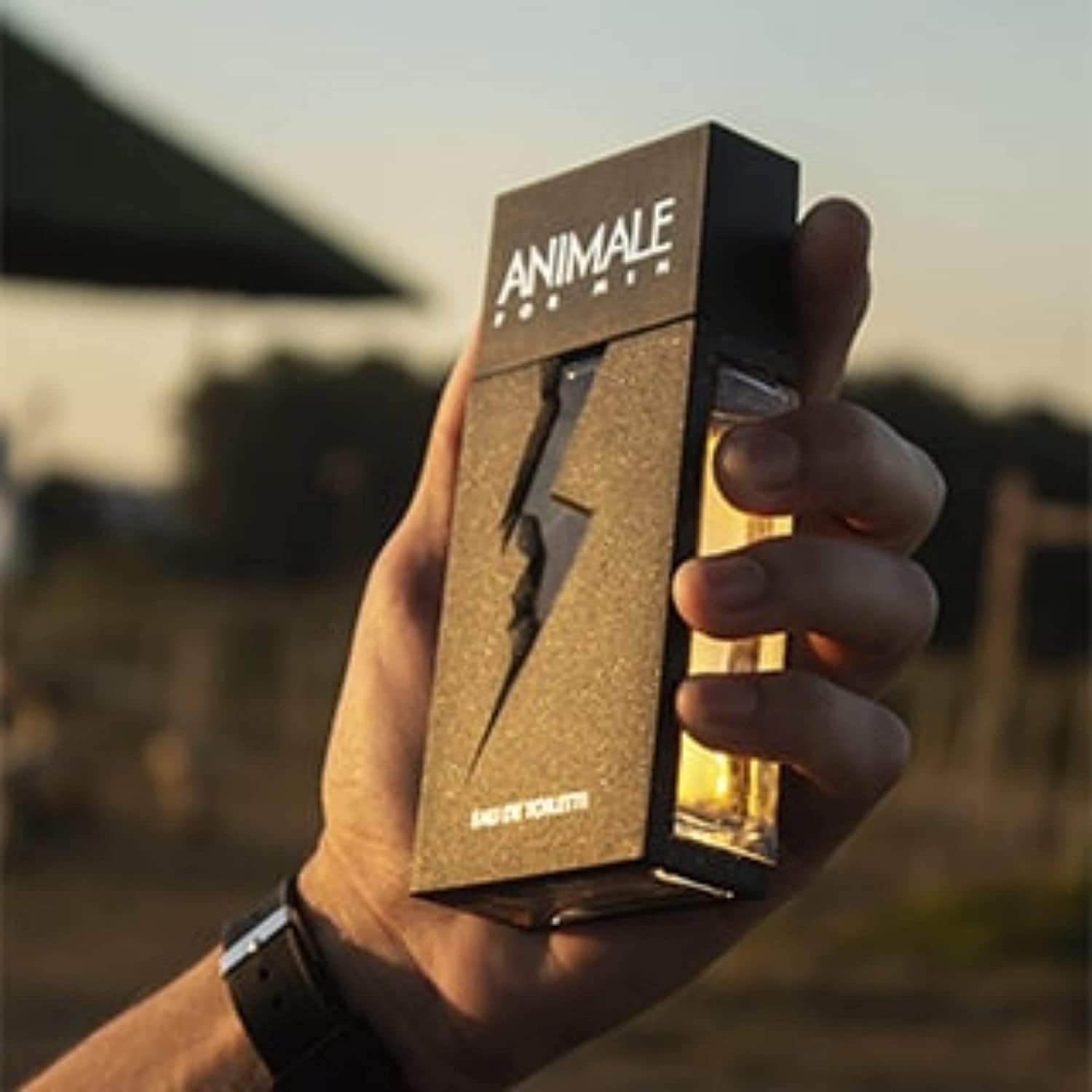 Animale For Men - Eau de Toilette - Herrenparfum