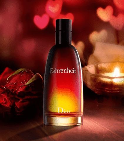 Fahrenheit Dior - Eau de Toilette - Herrenparfum